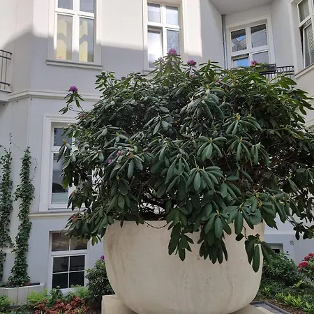 Апартаменты Boogie Papillon 10