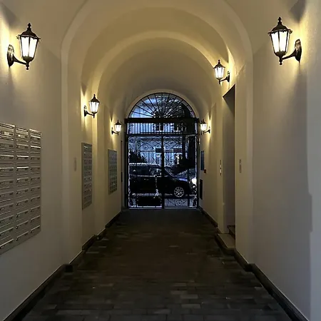 Boogie Papillon 10 *