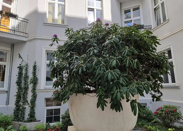 Appartement Boogie Papillon 10